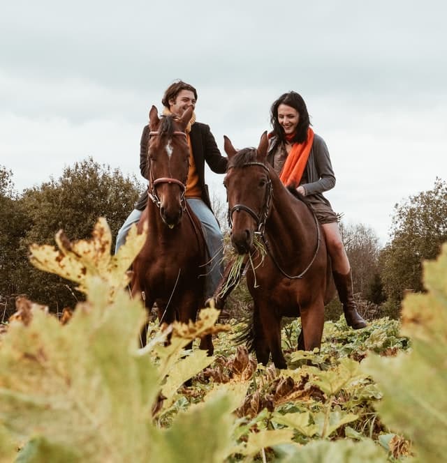 Actividades montar a caballo civitatis